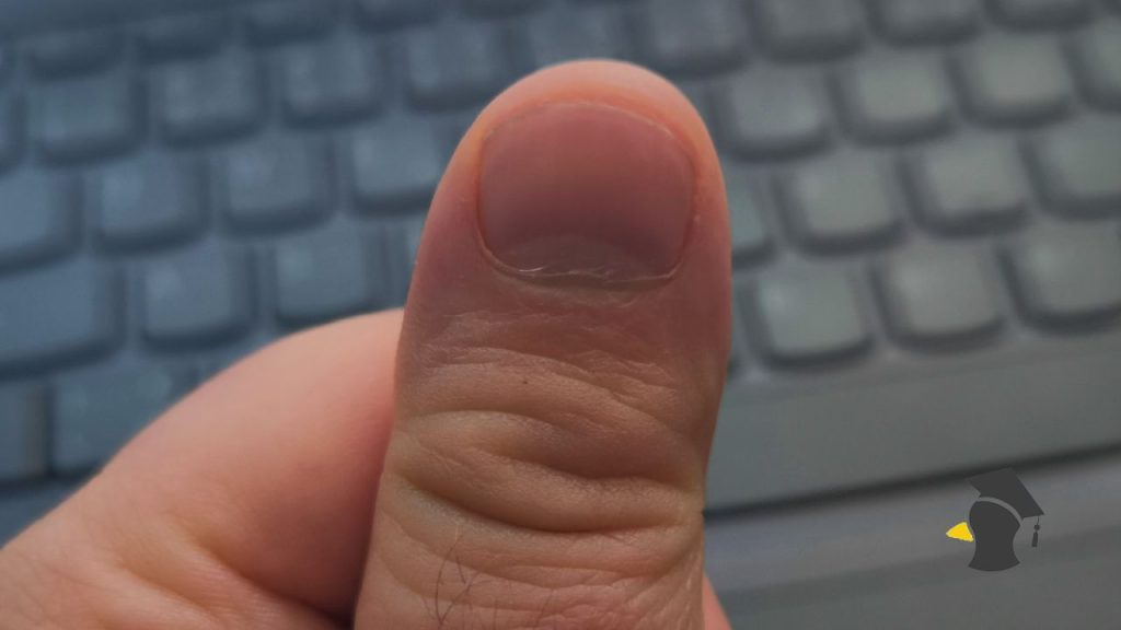 necht mesiacik na nechte