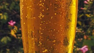 bubliny v sampanskom v inom napoji