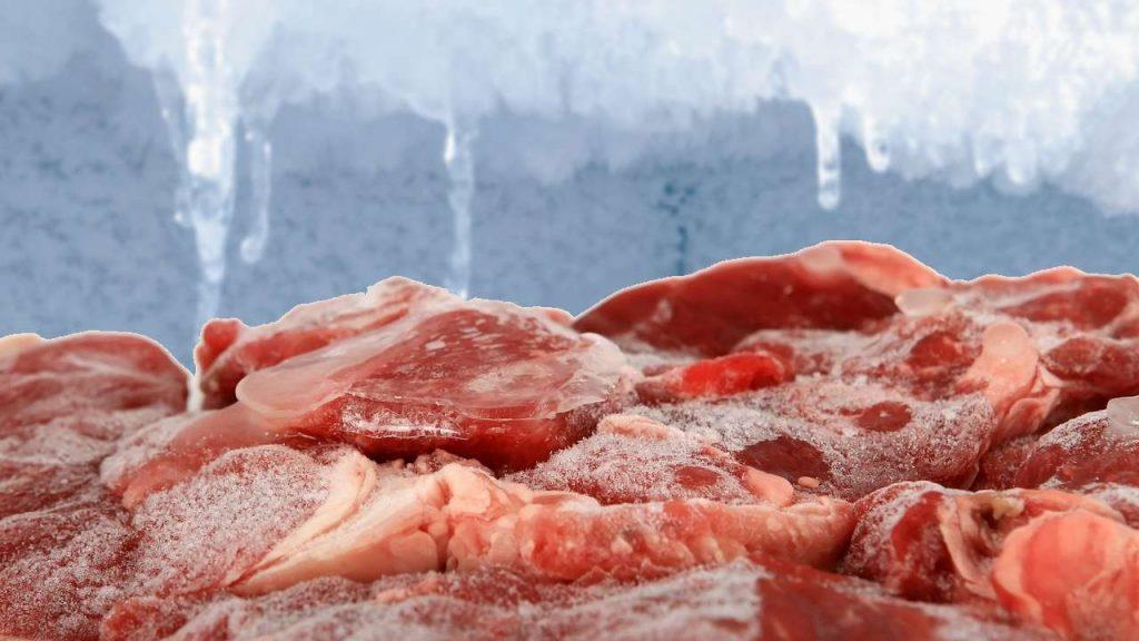 mrazene jedlo_titulka