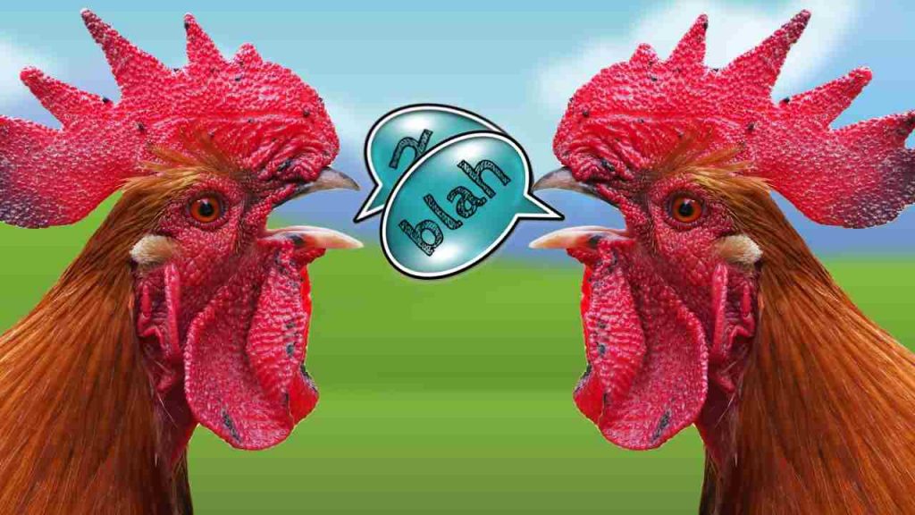 klebety a zeny a muzi