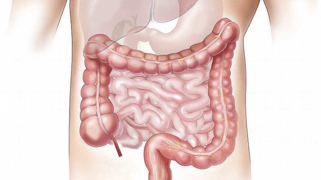 Gastroenterológ prezradil 4 druhy ovocia, ktoré chránia pred rakovinou hrubého čreva. Všetky kúpiš v bežnom...