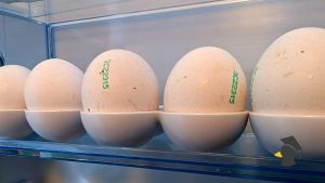 skladovanie vajicok v chladnicke_1