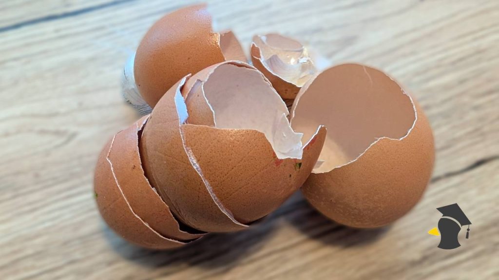 Vyhadzuješ škrupiny po vajíčkach? Pre psa ide o cenný zdroj tohto vitamínu