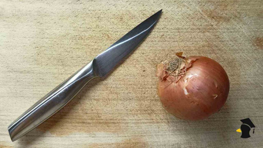 Žltá, biela, červená cibuľa a šalotka: Nie je cibuľa ako cibuľa. Nauč sa tento rozdiel a tvoje jedlo bude...