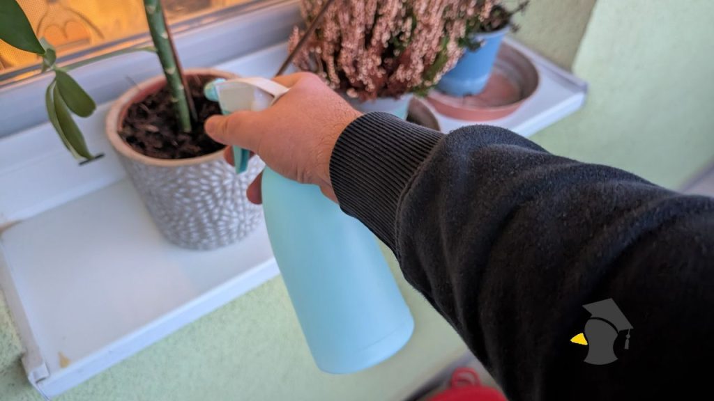 Premeňte svoj panelákový balkón na kvitnúcu oázu: Čo zasadiť už teraz, aby ste v máji mali súkromnú džungľu?