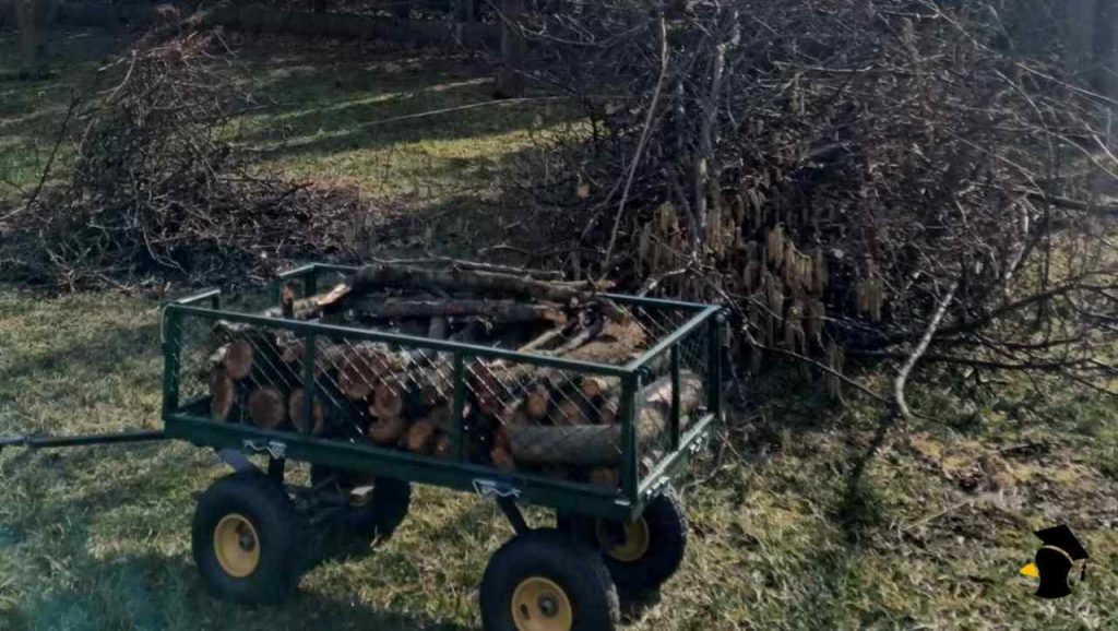 Jarná údržba balkóna a záhrady: Na čo po zime nesmieš zabudnúť? Toto musíš spraviť!