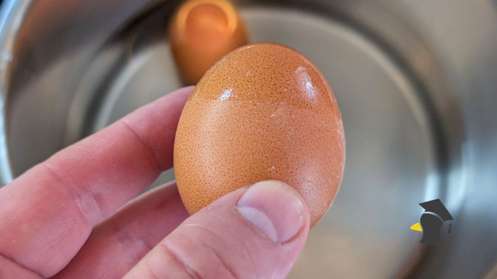 Má sa vajíčko variť v studenej alebo vriacej vode? Takto ovplyvňuje teplota vody konzistenciu vajíčka!