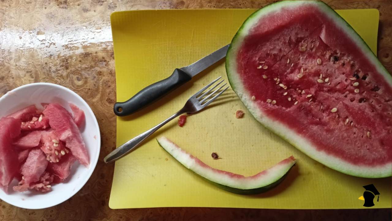 melón šupka1