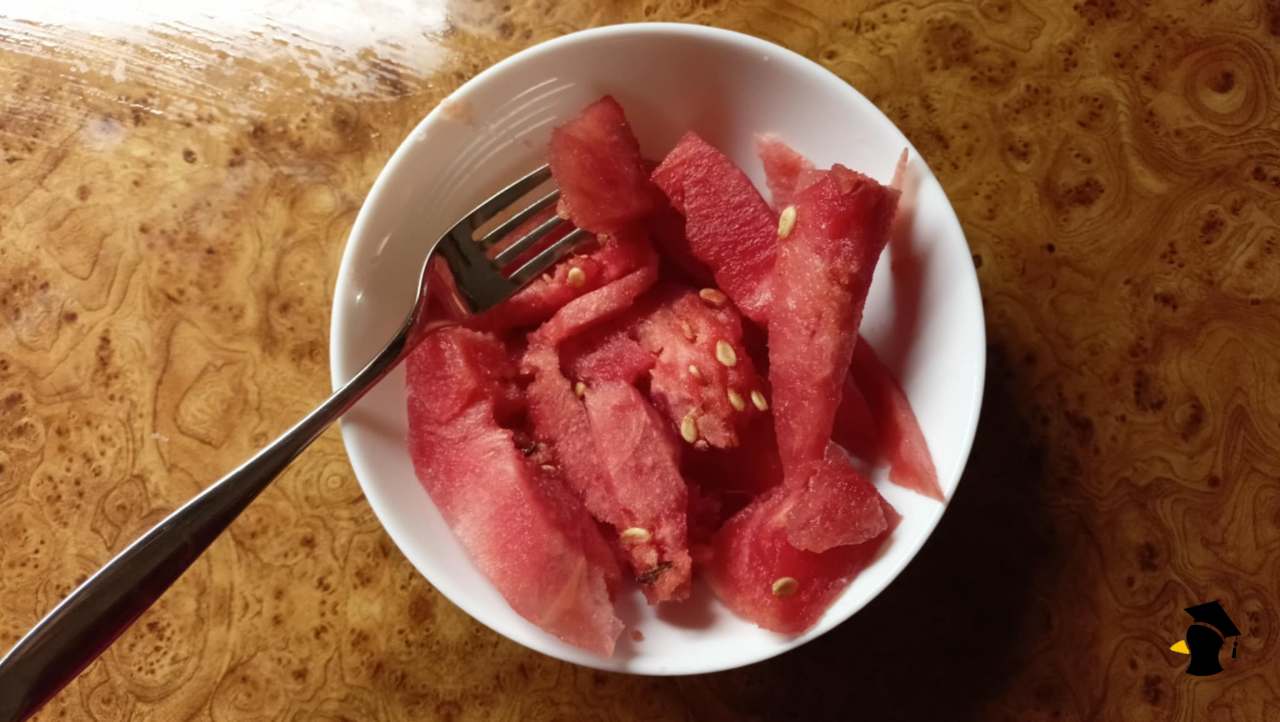 melón1