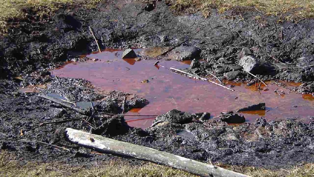 Mnohí ľudia netušia, odkiaľ ropa v skutočnosti pochádza. Myslia si, že ide o pozostatky dinosaurov. Aká je...
