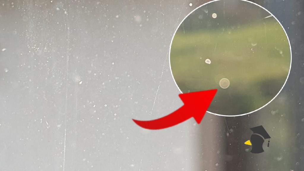 Umyl si okná a o pár hodín boli špinavé? Vieš, čo sú tieto škvrny na okne? Odpoveď je dosť nechutná