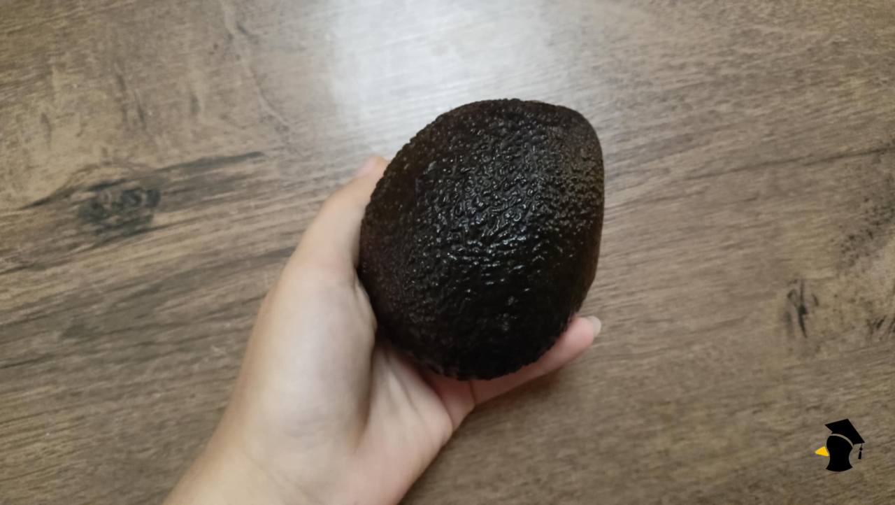 avokado
