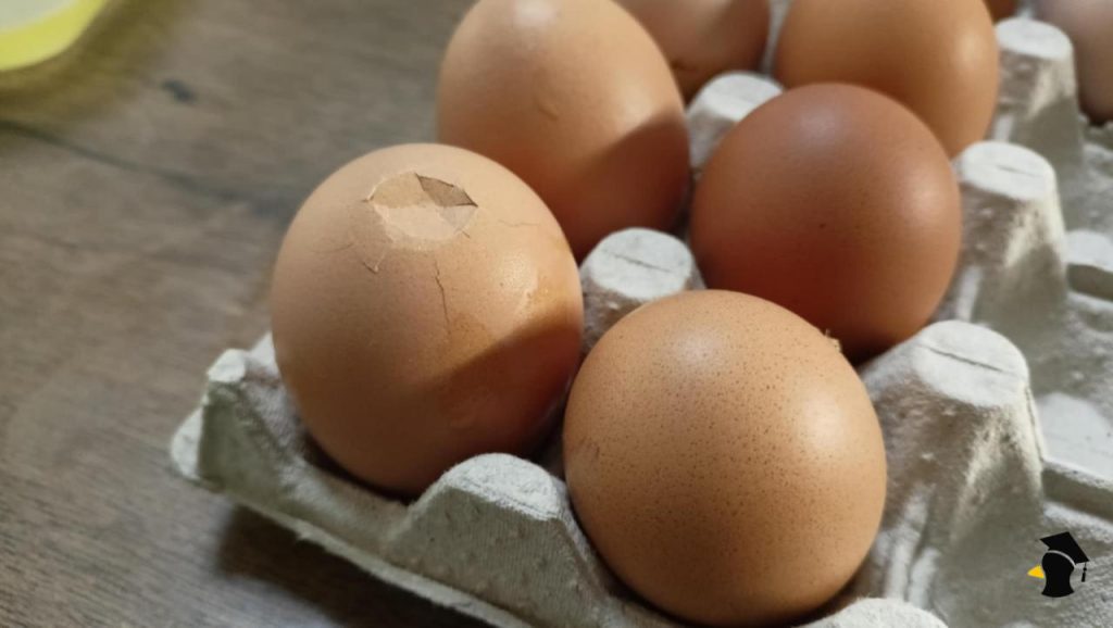 Sú vajcia s prasklinou bezpečné na konzumáciu? Málokto o tomto vie