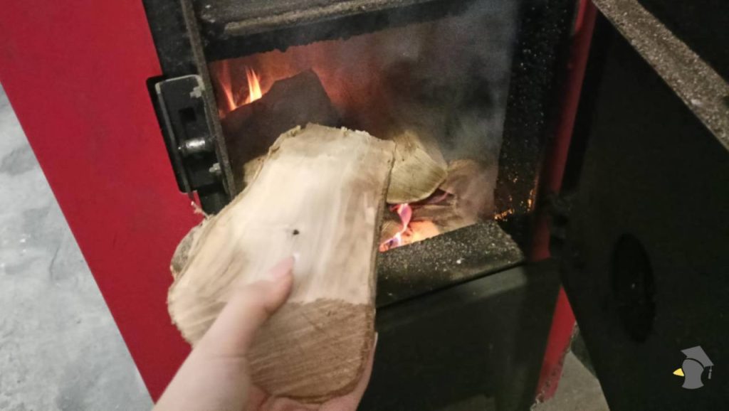 Nie každé drevo horí rovnako. Tento typ ti vyhreje dom rýchlejšie a lacnejšie ako ostatné