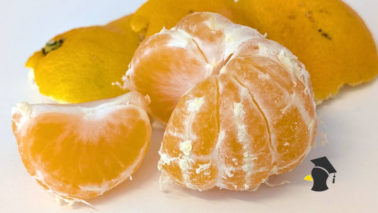 mandarinka_3
