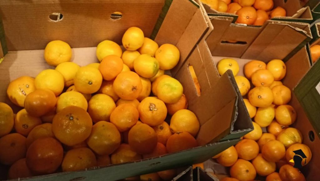 Vieš, ako spoznáš sladké mandarínky v obchode ešte predtým, než ich dáš do košíka? Väčšina ľudí robí pri...