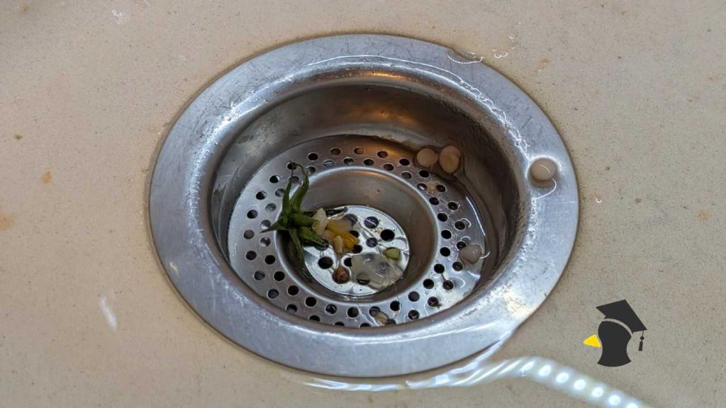 Tieto zlozvyky ti spôsobujú zápach v domácnosti, hoci si to neuvedomuješ