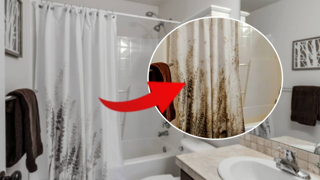 Vieš, ako správne vyčistiť špinavý sprchový záves? Väčšina ľudí ho len opláchne vodou, čím podporí vznik plesní