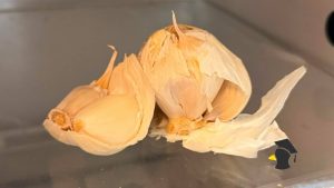 cesnak v chladnicke_1