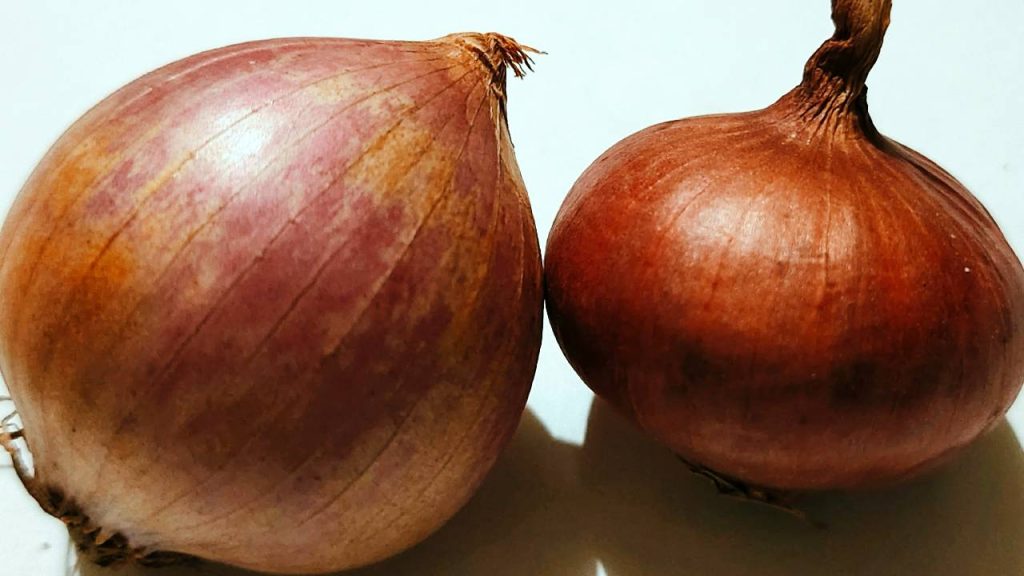 Ešte nie je neskoro, známa záhradkárka ukázala, ako zasadiť zimnú cibuľu, ktorá prežije aj mrazy. Máš na to...