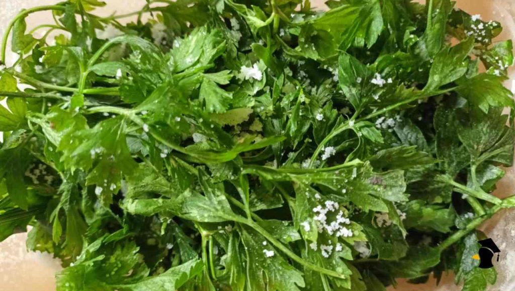 Petržlen je viac ako len dekorácia na tanieri! Táto prehliadaná zelenina je malý zázrak pre tvoje telo