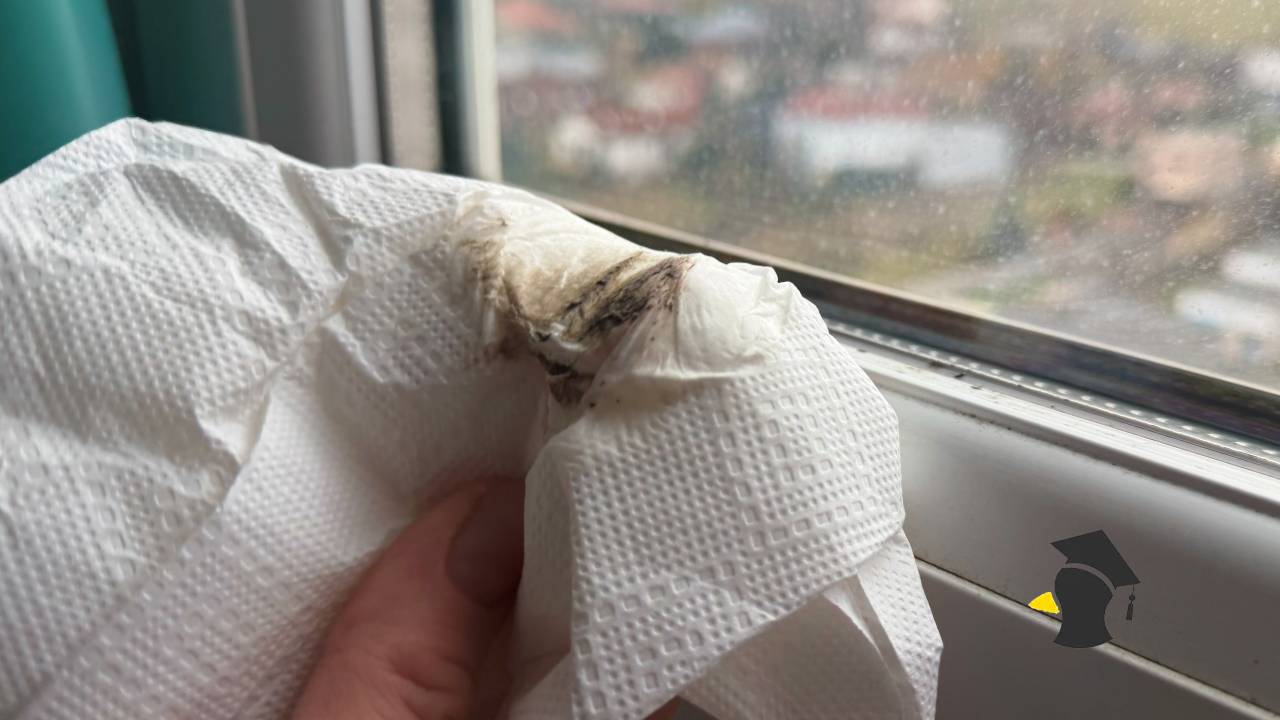 plesen na okna vlhke prostredie