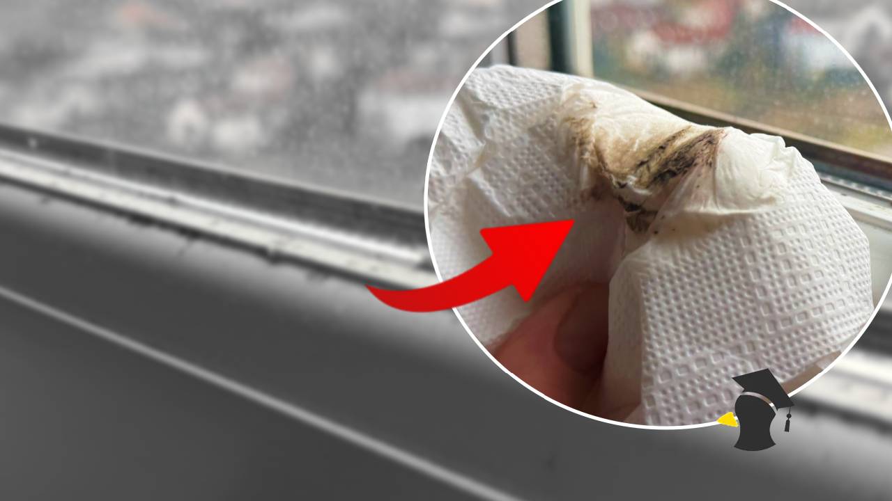 plesen na oknach titulka_1