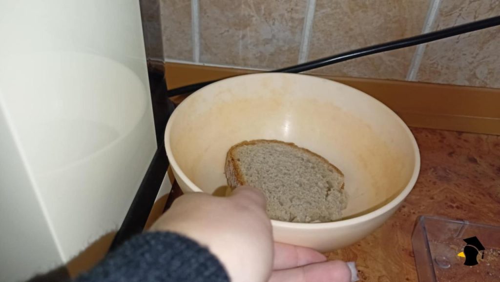 Tento trik s chlebom a octom poznali už naše staré mamy. Keď zistíš, čo dokáže, už nikdy ho nebudeš chcieť...