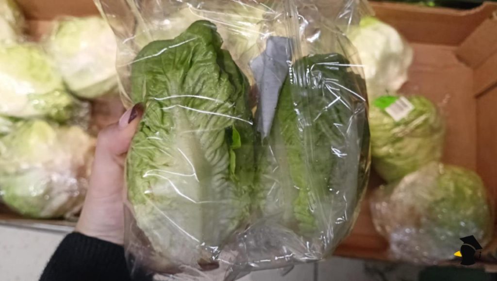 Vieš, ako môžeš udržať šalát čerstvý aj niekoľko týždňov? O tomto triku takmer nikto nevie, no funguje na sto...