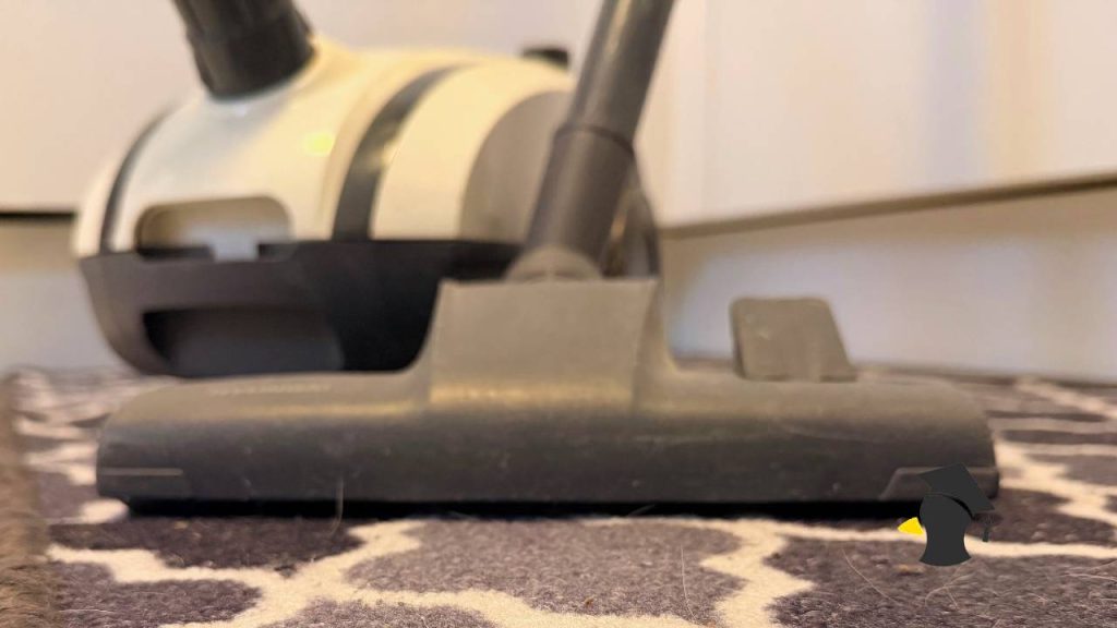 Ako prevoňať domácnosť už počas vysávania a odstrániť baktérie z kobercov aj vysávača? Toto musíš poznať!