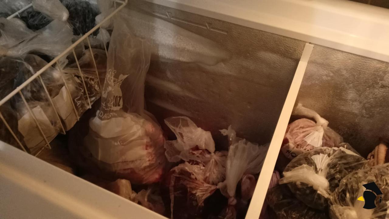 mraznička2. jedlo mrazene