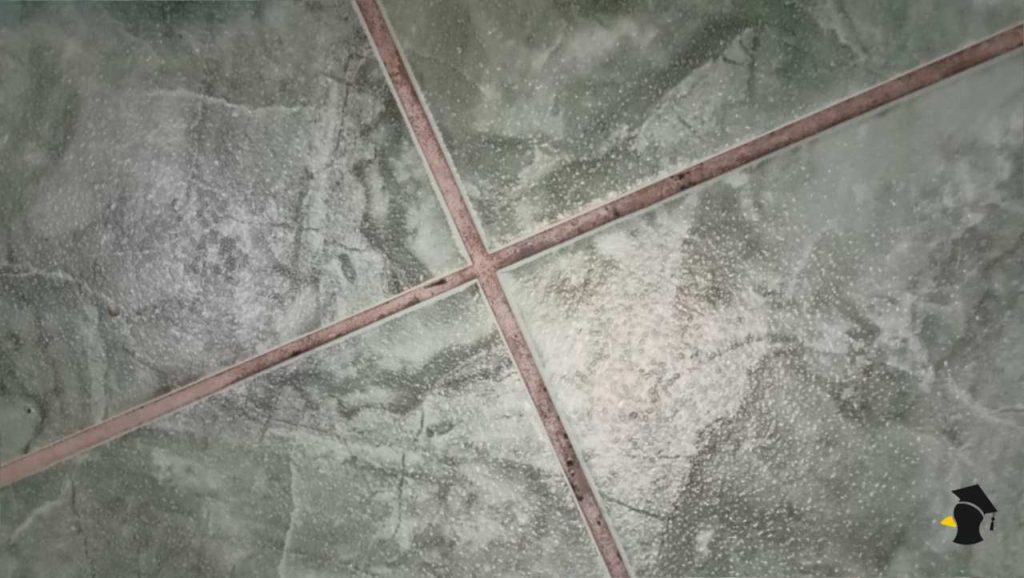 Pleseň v kúpeľni sa rýchlo vracia aj po čistení. Tento domáci trik ti pomôže problém konečne vyriešiť