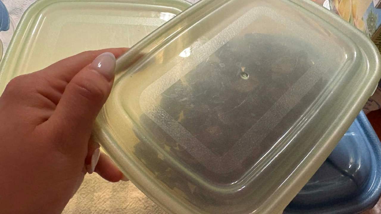 jedlo v pastovej dóze