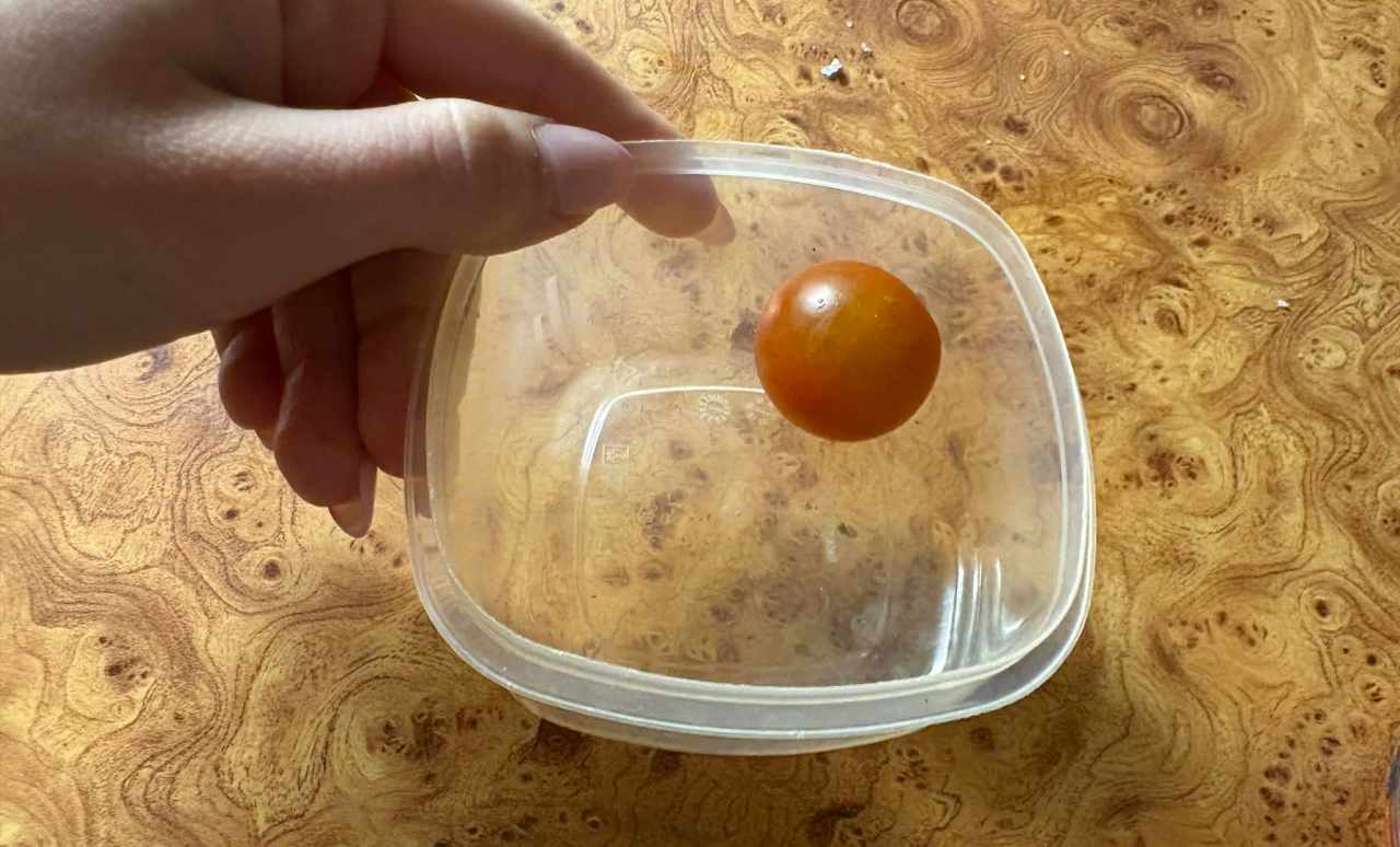 paradajka, plastová nádoba