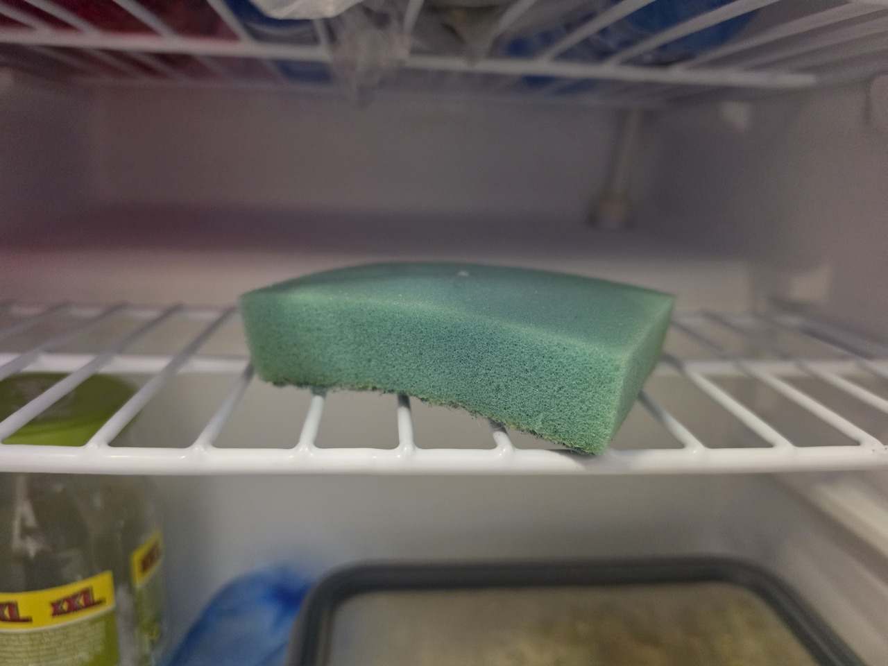 spongia v chladnicke