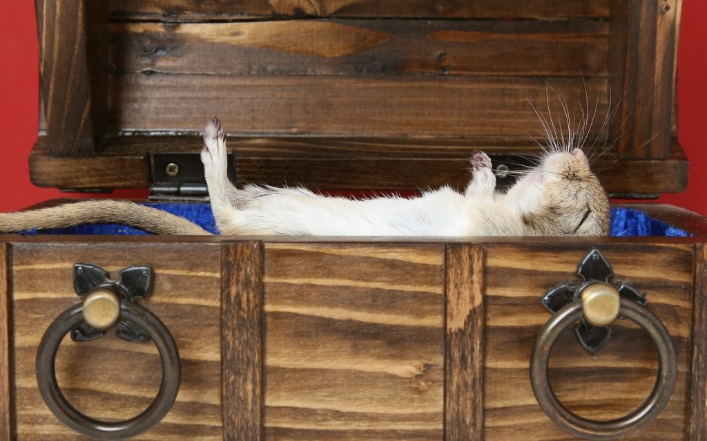 marnica