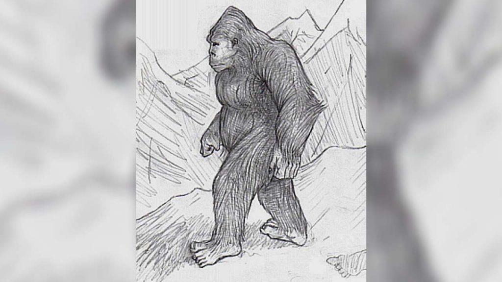 yeti mytus_titulka