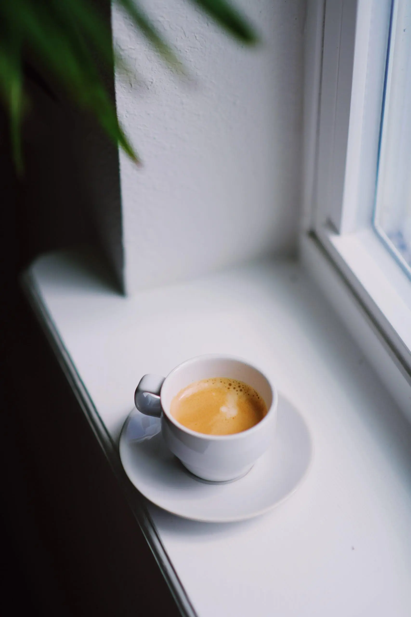 Espresso kava