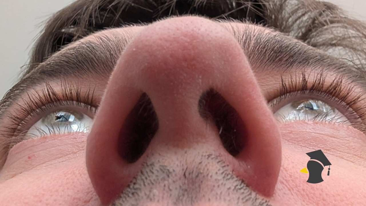 chlpy v nose_1 (2)
