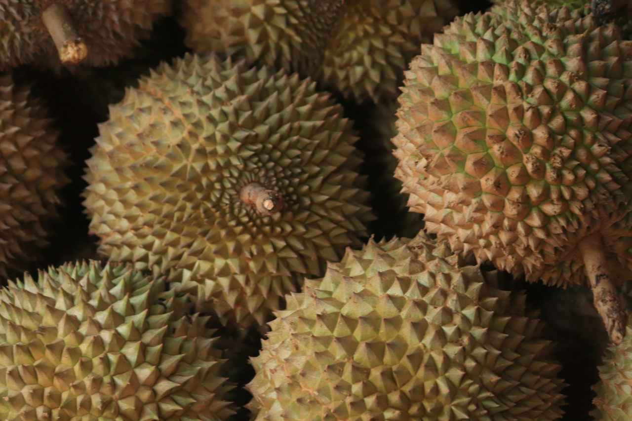 durian