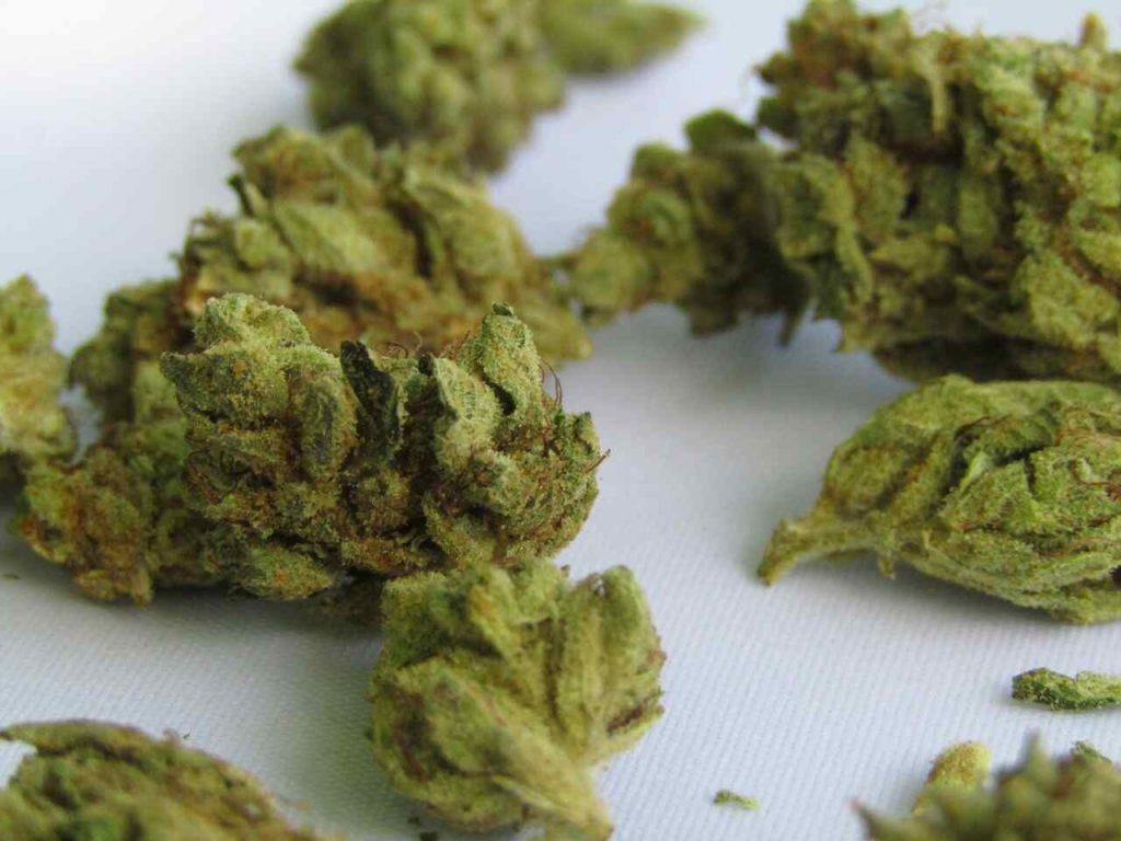 marihuana THC drogy