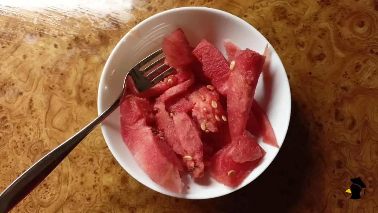 melón1
