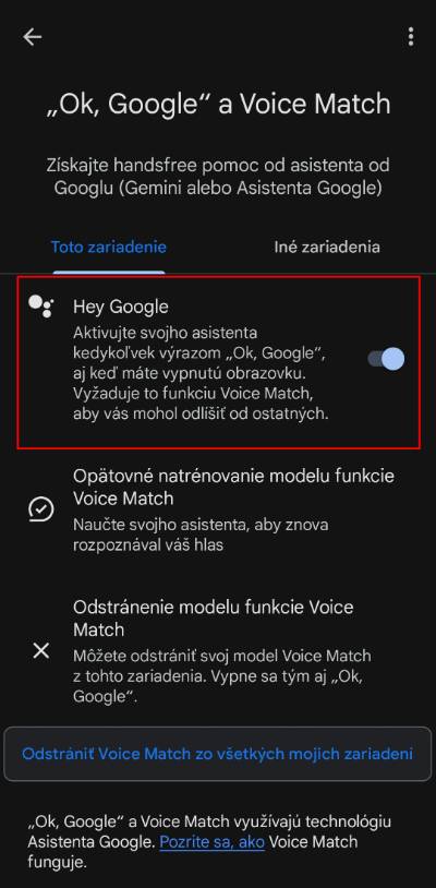 ako vypnut funkciu ok google navod_4