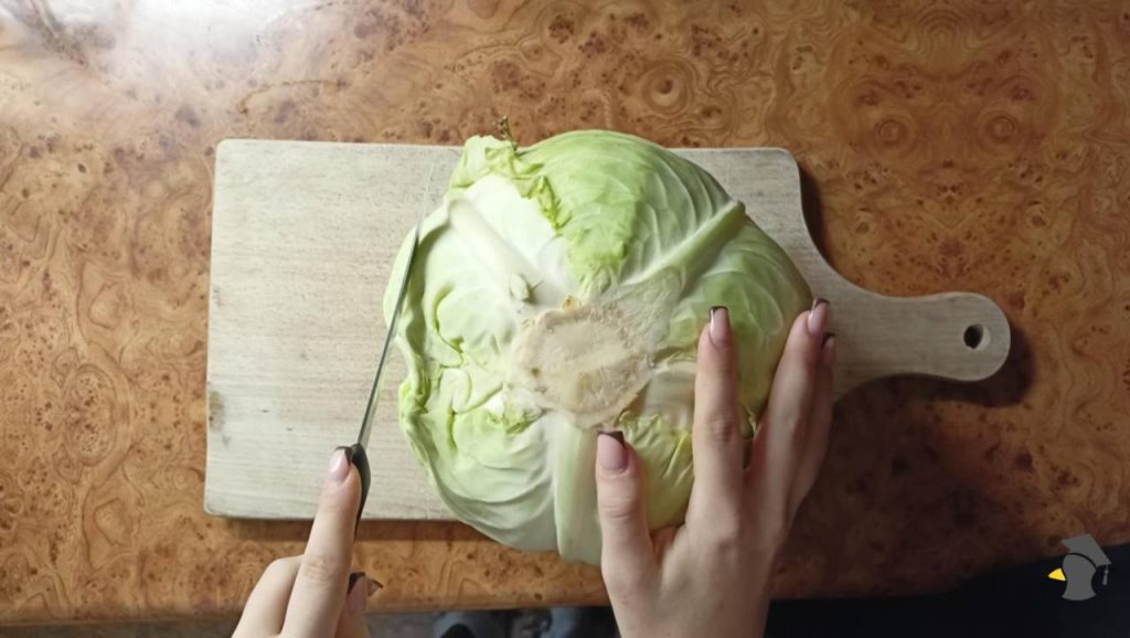 kapusta