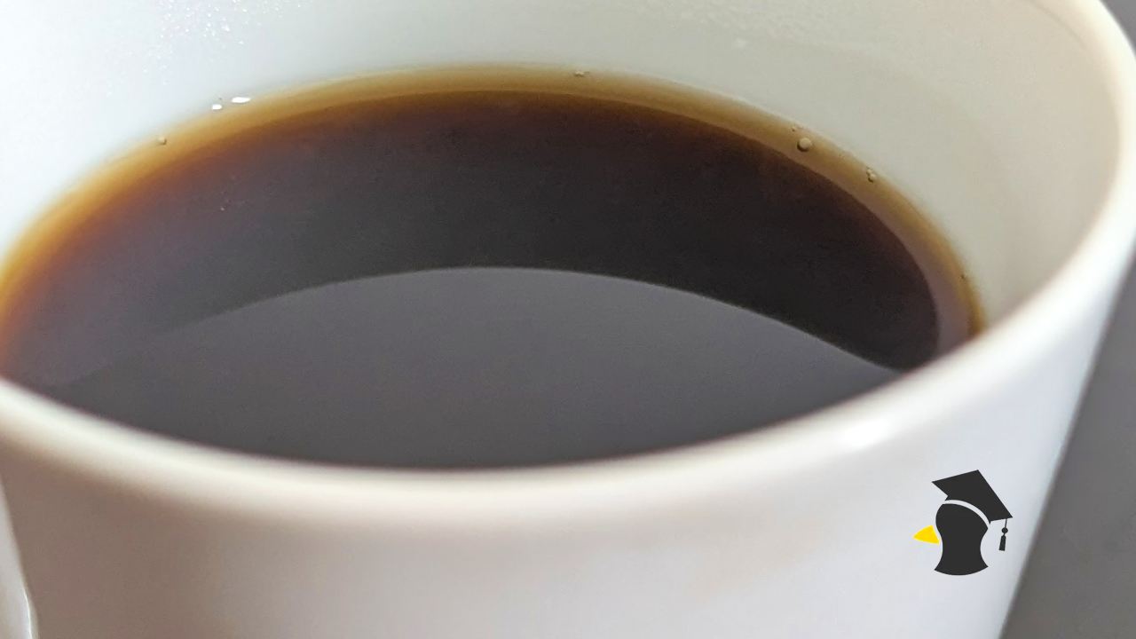 kava salka kavy_1