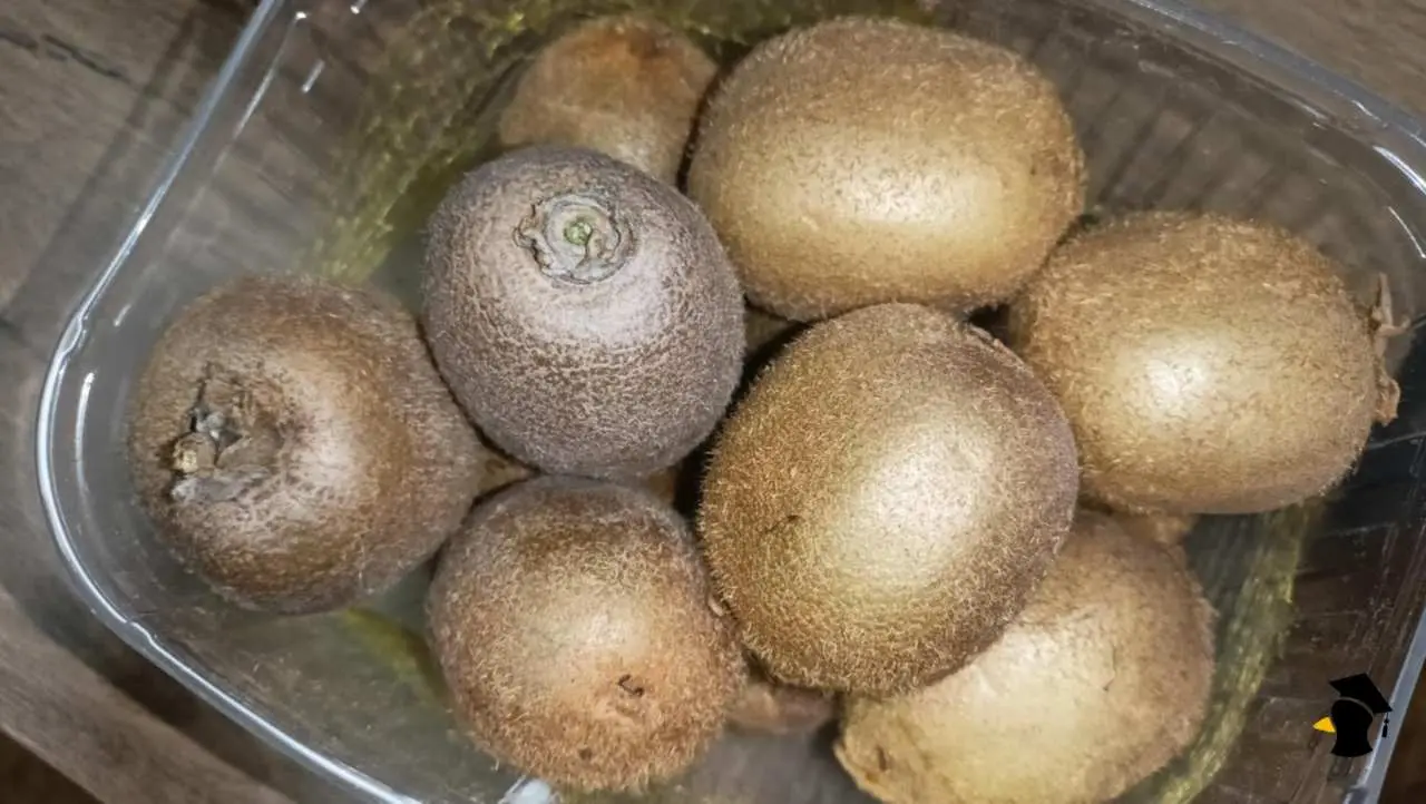kiwi
