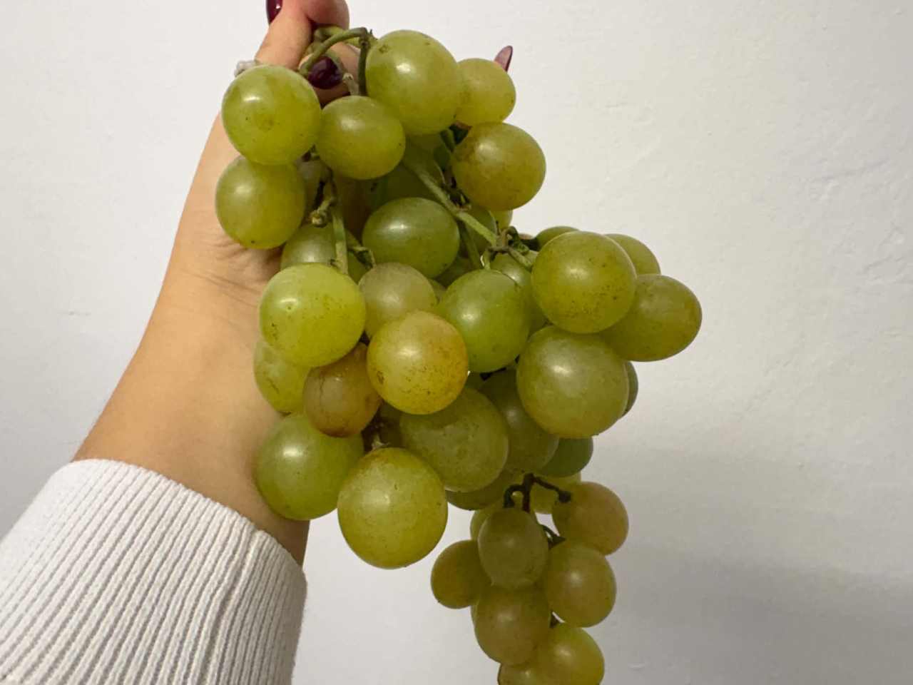 Ako správne skladovať hrozno, aby vydržalo dlhšie čerstvé a chrumkavé? Takto ti vydrží aj dva týždne